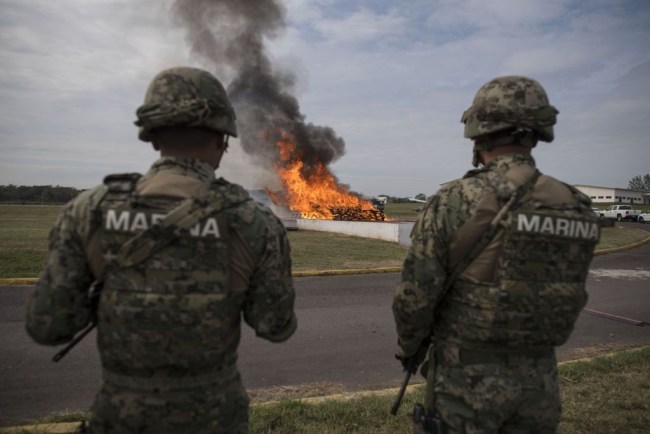 Mexican military shutdown Monte Rico compound, in the state of Veracruz, was registered to brothers Jacinto and Alberto Rodríguez of the infamous the Los Piñas Cartel.