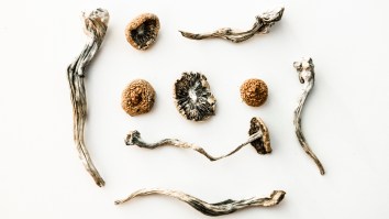Taking Just One Trip On Magic Mushrooms Can Awaken Your Inner Hippie