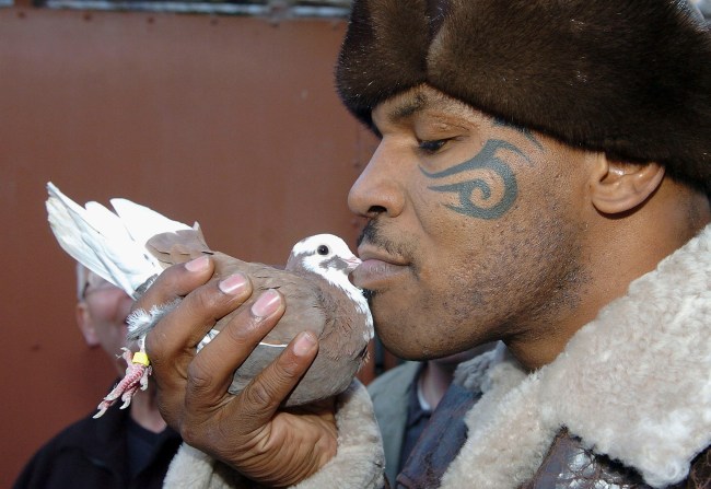 Mike Tyson tells a story about being 10 years old and knocking out a garbage man after the guy threw away a dead pigeon
