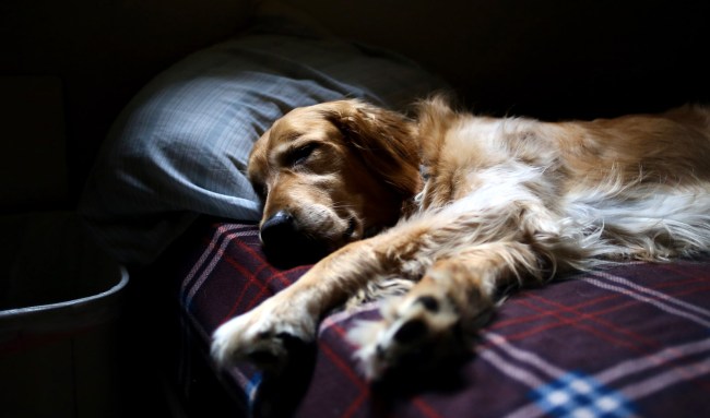 Columnist Roasted For Suggesting Sleeping In The Guest Room Vacation