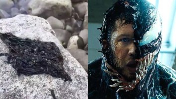 As If 2020 Couldn’t Get Any Worse, It Appears Venom Has Landed On Earth