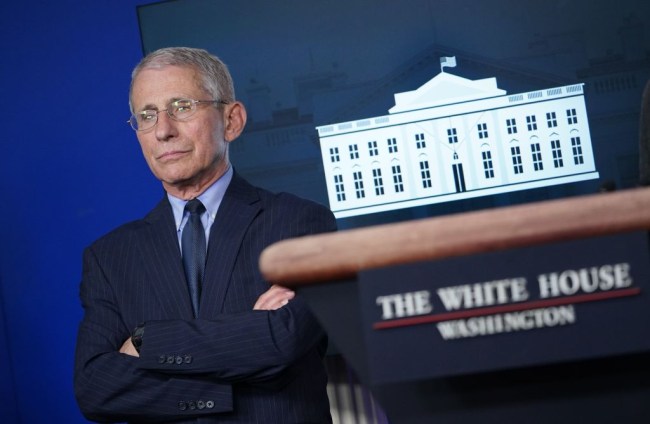 dr. fauci sports returning