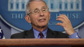Dr Fauci Says ‘It’s Conceivable’ There Will Be Large Crowds At Sporting Events Without A Vaccine In The Near Future
