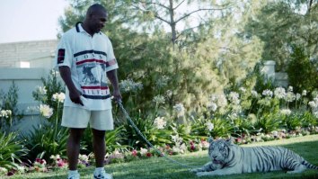 Mike Tyson Talks ‘Tiger King,’ He Was ‘Foolish’ To Own Tigers, ‘They’ll Kill You By Accident,’ Big Cat People Are ‘Backstabbers’