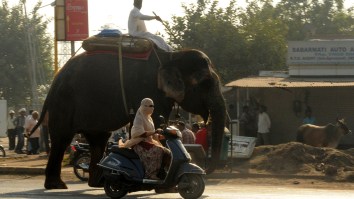 Mother In India Rides A Scooter 870 Miles To Pick Up Stranded Son