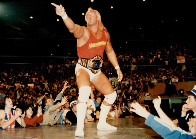 Hulk Hogan biopic Netflix