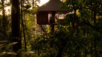 ER Doctor Dad Self-Quarantines In His Kids’ Tree House, Appears Extremely Happy
