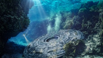 This 50-Foot-Wide Spiral Shaped Creature Feeding 2,000 Feet Deep Is Totally Not An Alien, You Guys