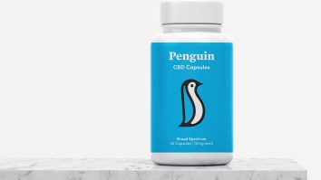 Improve Your Mood And Feel Balance And Wellness With Penguin CBD’s Capsules
