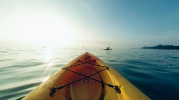 Kayaker Circled By 13-Foot Great White Shark As His Friend Filmed The Terrifying Moment With A Drone