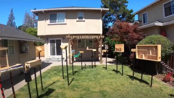 Former NASA Engineer Spends Weeks Building A Comically Complex Squirrel-Proof Bird Feeder