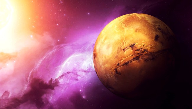 Thousands Of Mushrooms And An Alien Life Form Spotted On Mars In NASA Pics