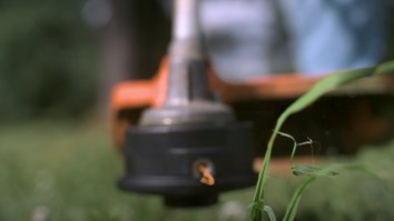Watching This Weed Eater Evaporate Weeds At 62,000 Frames Per Second Is Incredibly Satisfying