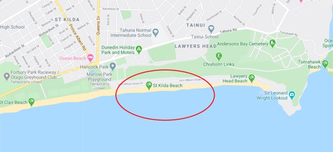 Alien Hunter Spots UFO Flying Over New Zealand On Google Maps