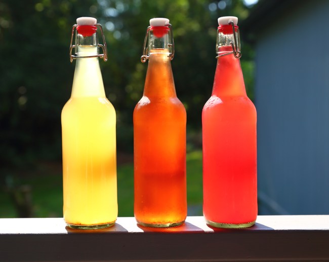 Best Hard Kombucha