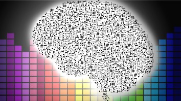 Elon Musk Is Working On A Chip That Will Let You Stream Music Directly Into Your Brain