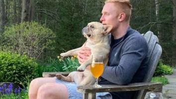 Dear Scientists Who Say We’re Overbonding With Our Dogs: Shut Your Mouth