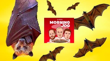 Monstrous Bats In The Philippines Are Bigger Than Tom Cruise And Terrorizing The Internet