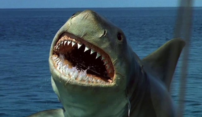 scariest movie sharks ranked