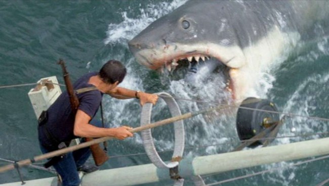 scariest movie sharks ranked
