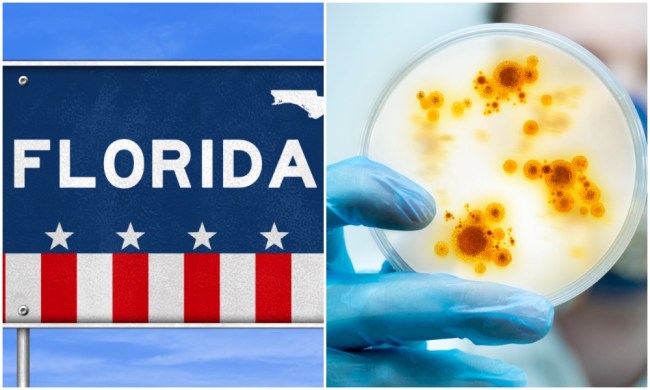florida positive test results error