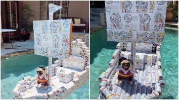 Bored YouTuber Uses His Empty Quarantine White Claw Cans To Build A Boat For His Dog