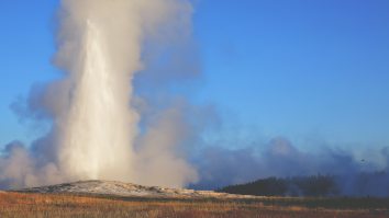 Man Banned From Yellowstone National Park After Trying To Cook Chicken In Hot Spring