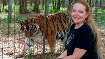 Woman Who Definitely Didn’t Feed Her Husband To A Tiger Is Angry About Having Fans At The Super Bowl