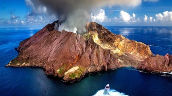 Sharks Living Inside An Active Volcano Baffle Scientists, Dr. Evil Wanted For Questioning