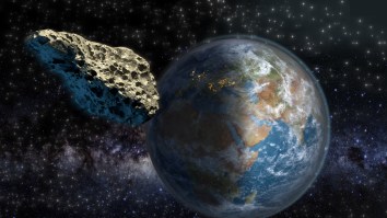 NASA Says Asteroid Could Potentially Hit Earth Day Before U.S. Presidential Election