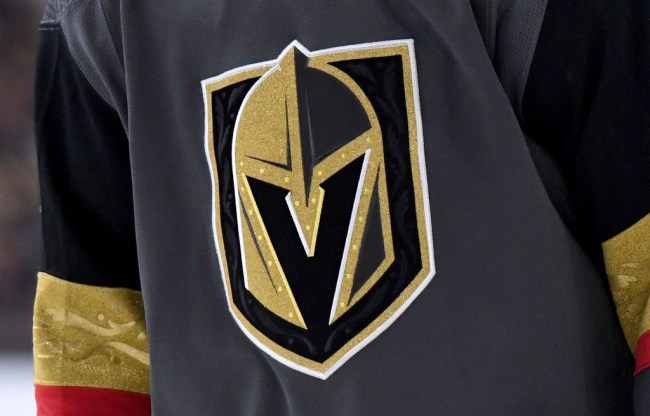 golden knights buy pizza homeless edmonton