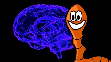 This Story About A Guy Who Had A 5-Inch Worm Living Inside His Brain For 17 Years Is As 2020 As It Gets