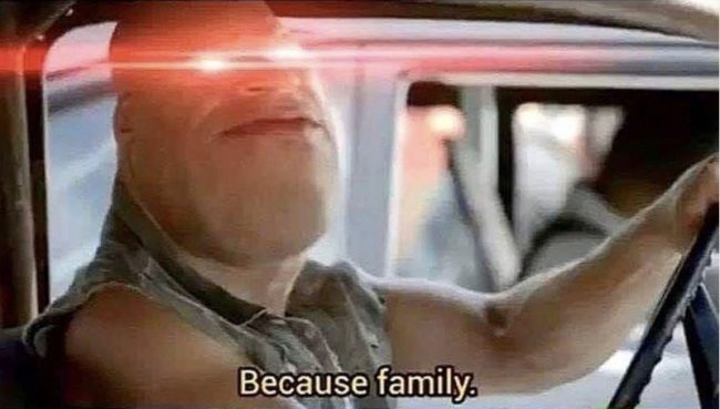 fast and furious meme