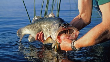 Two Utah Men Are Now Convicted Felons After Cheating In A Bass Fishing Tournament