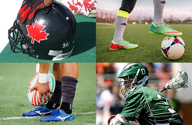 next sport to become popular america