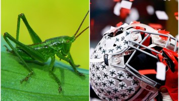 Shaun Wade Says A Green Cricket Played A Role In His Decision To Opt Out For Senior Season At Ohio State