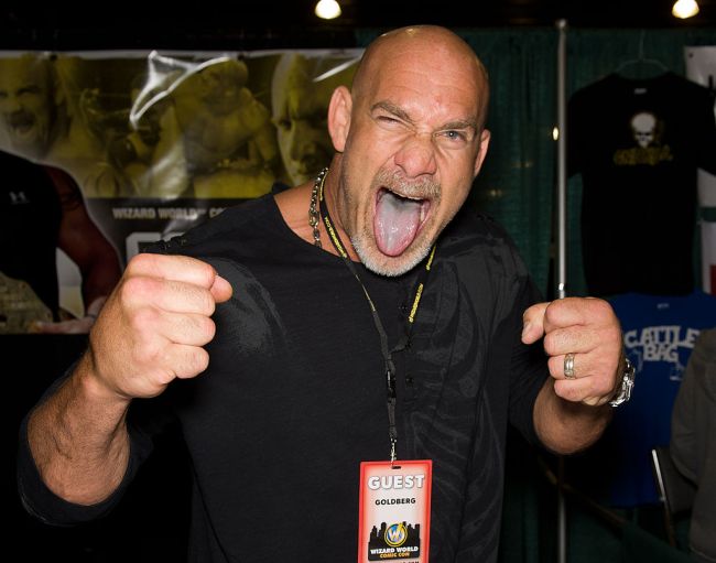 Bill Goldberg Bret Hart Kick