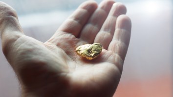 Plane Passenger Caught Smuggling 2 Pounds Of Gold In A Part Of The Body That Will Make You Cringe