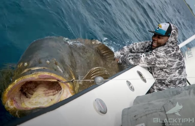 Jawaan Taylor BlacktipH fishing Goliath Grouper