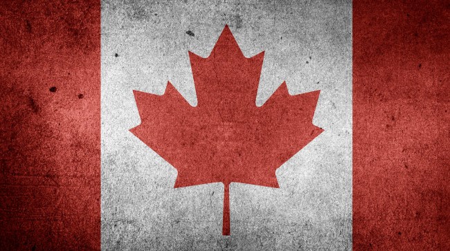 Americans Offered Emotional Support Canadians For Presidential Election