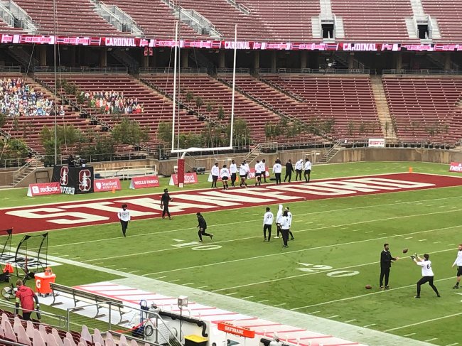 Stanford Football Trees
