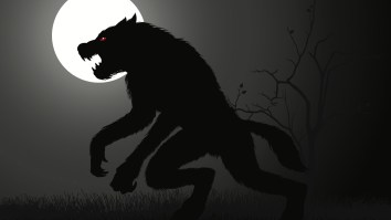 Japanese City Installs Monster Robot Wolves To Scare Off Stray Bears
