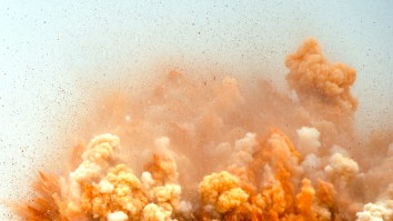 Wild Footage Of A 50-Foot Whale Exploding On A Beach Celebrates The 50th Anniversary Of America’s First Viral News Story