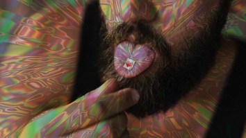Fans Of Psychedelics Will Soon Have A Hotline They Can Use To Help Them Navigate And Process Their Trips