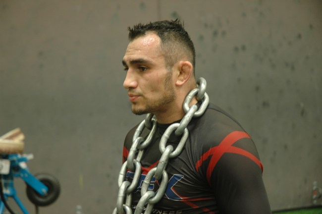 UFC 256 Tony Ferguson