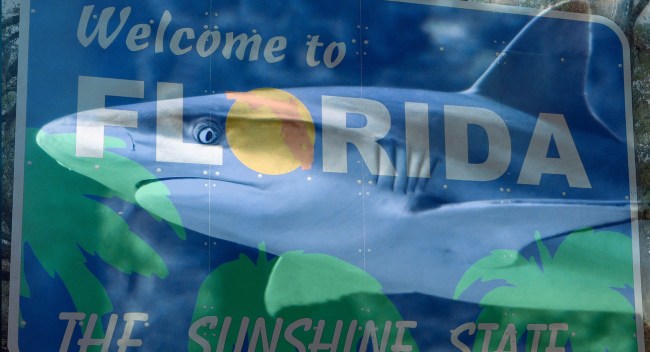 Florida Man Attacked By Shark Walks Home Bleeding To Death Before Going To Hospital