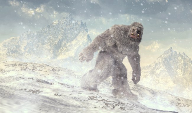 Bigfoot Sighting Reported In British Columbia Spooks Local Residents