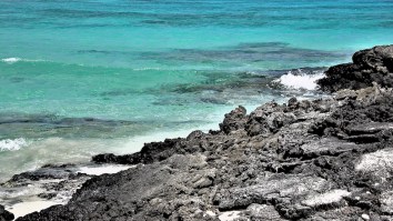 4-Year-Old Finds Near-Perfect Dinosaur Footprint On Beach That People Have Somehow Missed For 220 Million Years