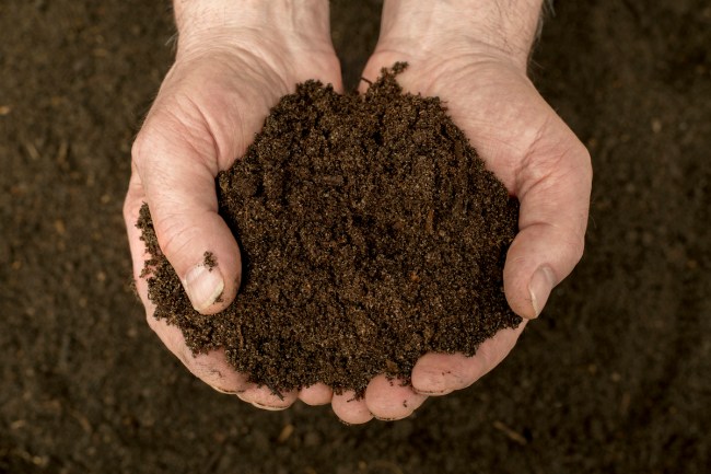 Human Composting Washington