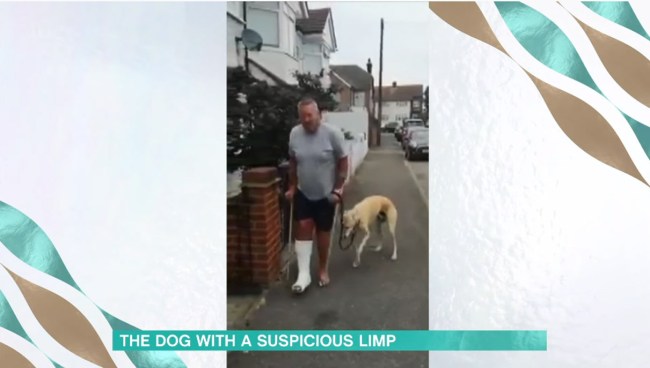 Man Spends 400 To Discover His Limping Dog Was Just Imitating Him